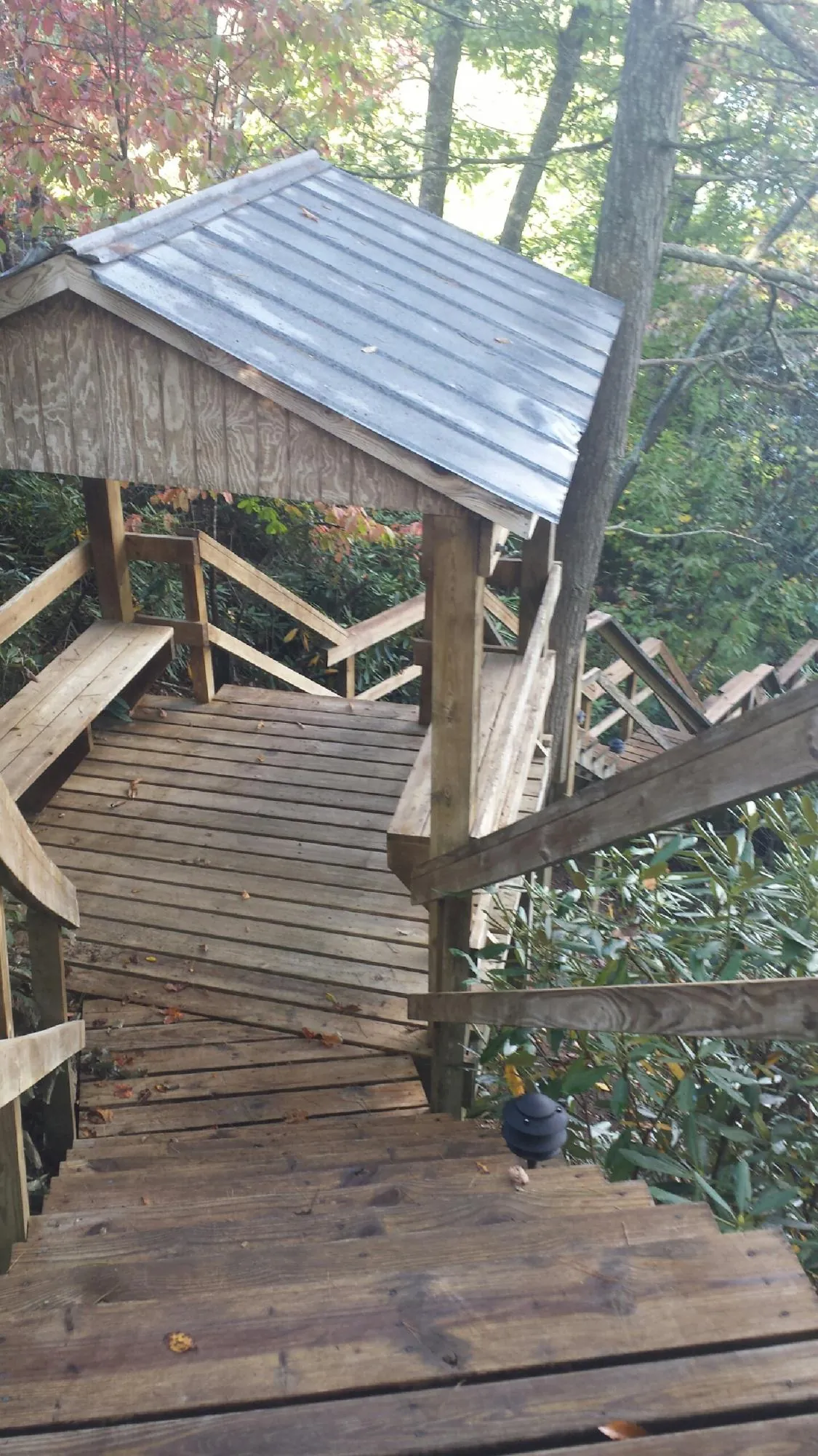 Metal roofed shelter over wooden steps on a wooded walkway — Skylight Repair & Installation work by our crew in Dahlonega